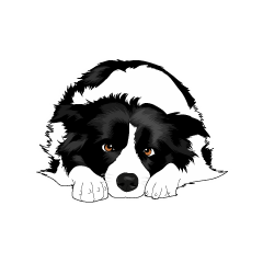 Ƃ炷 Living with dogs